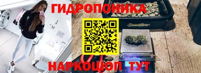 каннабис Гусиноозёрск