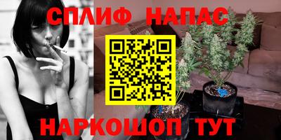 эйфоретик Гусев