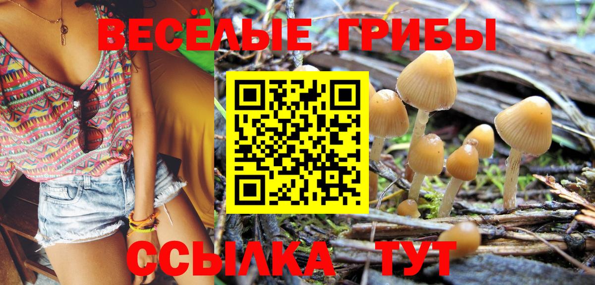Псилоцибиновые грибы GOLDEN TEACHER Моздок