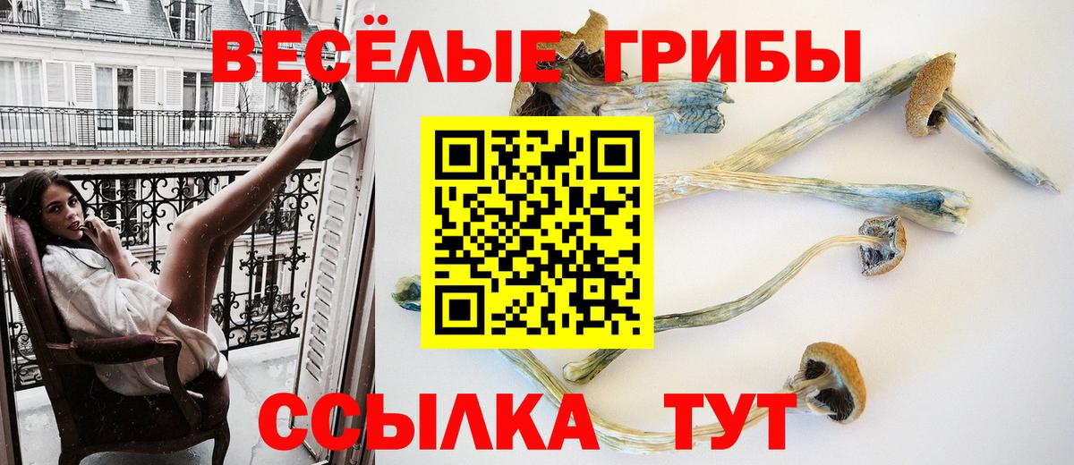Моздок  Псилоцибиновые грибы GOLDEN TEACHER  где купить наркоту  Вход с VPN 